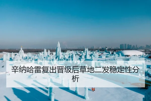 辛纳哈雷复出晋级后草地二发稳定性分析