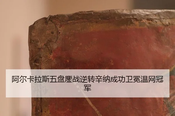 a-er-ka-la-si-wu-pan-ao-zhan-ni-zhuan-xin-na-cheng-gong-wei-mian-wen-wang-guan-jun-3-708.jpg